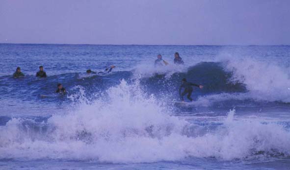 surf2.jpg (20311 byte)